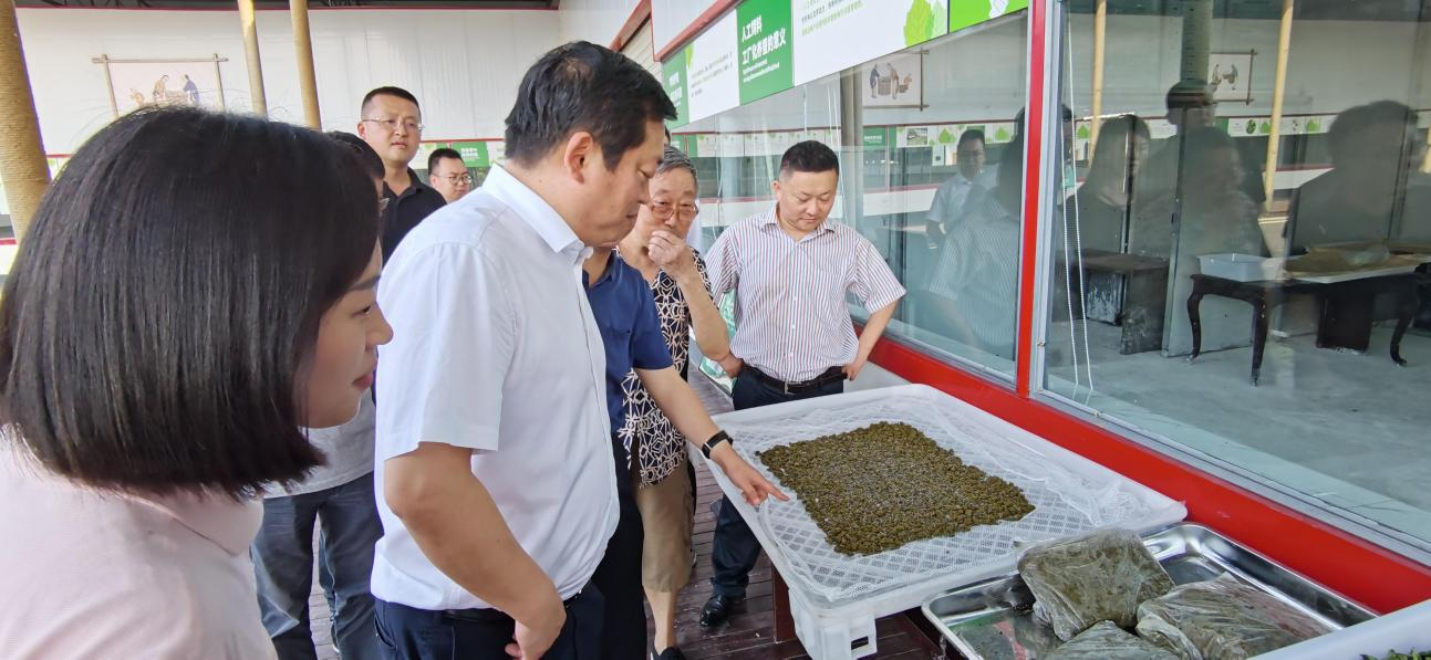 省尊龙凯时集团党委副书记、董事陈日赴嘉陵区调研茶桑产业发展情况
