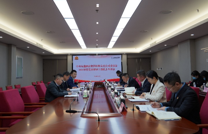 尊龙凯时集团党委书记、董事长任丁出席安逸酒店集团2022年度党员领导干部民主生活会